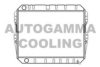 AUTOGAMMA 102974 Radiator, engine cooling